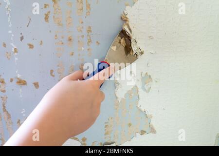 Primo piano di un raschietto utilizzato per rimuovere carta da parati vecchia dal muro. Foto Stock