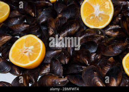 Cozze bollite in ciotola di ceramica guarnite con erbe fresche e limone. Gustoso pasto a base di pesce ideale per pranzo o cena, antipasto per brunch o buffet Foto Stock