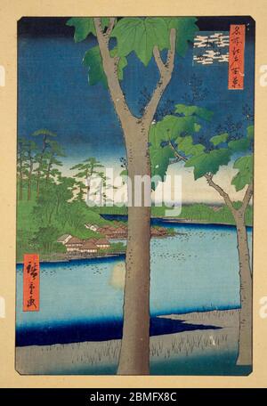 [ 1850 Giappone - Case giapponesi in uno stagno ] - Tameike Pond in Akasaka, Edo (attuale Tokyo), 1856 (Ansei 3). Questa stampa in blocco di legno è l'immagine 52 in cento viste famose di Edo (名所江戸百景, Meisho Edo Hyakkei), una serie creata dall'artista ukiyoe Utagawa Hiroshige (歌川広重, 1797–1858). È una delle 30 scene estive della serie. Titolo: Il Giardino Paulownia ad Akasaka (赤坂桐畑, Akasaka Kiribatake), stampa in blocchi di legno Ukiyoe, di epoca XIX secolo. Foto Stock