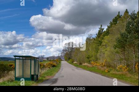 REMOTO FERMATA DI AUTOBUS RURALE E RIFUGIO CON GOLA GIALLA LUNGO LA STRADA IN PRIMAVERA Foto Stock