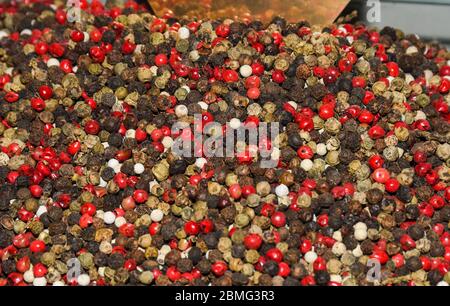 Grani di pepe misto dello sfondo. Diversi grani di pepe colorati, vicino. Foto Stock