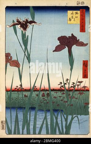 [ 1850 Giappone - Horikiri Iris Garden ] - il famoso giardino Iris di Horikiri Shobuen Garden (堀切菖蒲園) a Edo (attuale Tokyo), 1857 (Ansei 4). Questa stampa in blocchi di legno ha influenzato notevolmente l'Art Nouveau europeo. La stampa è l'immagine 64 in cento viste famose di Edo (名所江戸百景, Meisho Edo Hyakkei), una serie creata dall'artista ukiyoe Utagawa Hiroshige (歌川広重, 1797–1858). È una delle 30 scene estive della serie. Titolo: Horikiri Iris Garden (堀切の花菖蒲, Horikiri no hanashobu) Ottocento vintage Ukiyoe stampa a blocchi di legno. Foto Stock