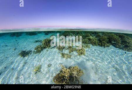 Sopra sotto l'immagine divisa di acqua poco profonda di una tipica vista costiera lungo la costa del Mar Rosso. Foto Stock