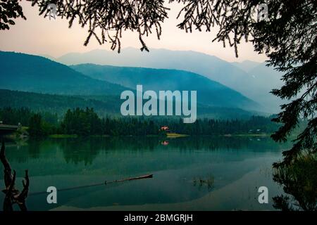 Misty giorno sulle montagne attraverso gli alberi Foto Stock