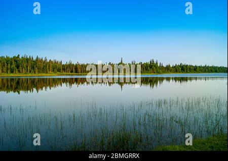 Foresta che si riflette in un lago tranquillo Foto Stock