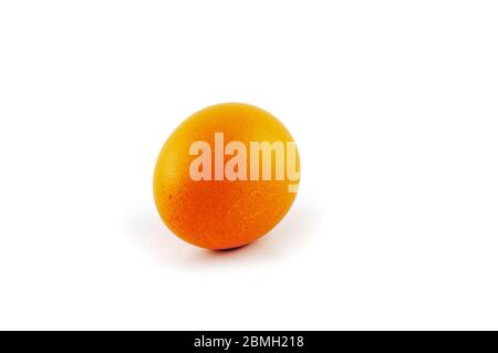 Uovo di pasqua di colore giallo o arancione isolato su sfondo bianco, colorato da coniglio di pasqua Foto Stock