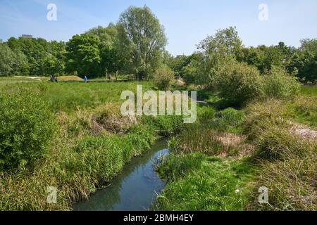 Il fiume Moselle al Lordship Recreation Ground, Tottenham, North London, UK Foto Stock