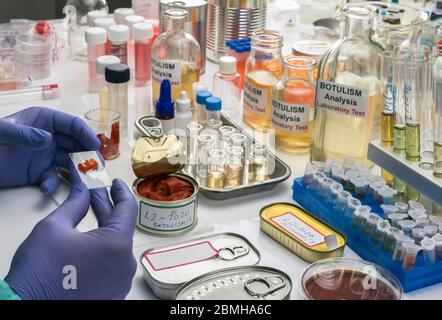Uno scienziato di laboratorio esperto analizza peperoni rossi da un alimento inscatolato può analizzare l'infezione botulistica in gente malata, immagine concettuale Foto Stock
