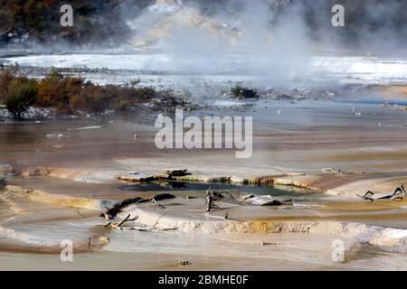 Piscina riscaldata sulla palette dell'artista, Parco Termale Orakei Korako, zona vulcanica di Taupo, Nuova Zelanda. Foto Stock