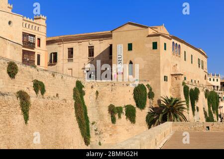 Museo della diocesi, Palma De Mallorca, Maiorca, Isole Belariche, Spagna, Europa Foto Stock