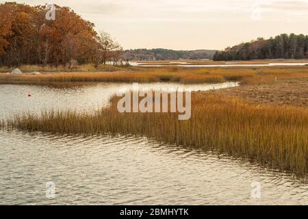 Questo fa parte di 17,000 acri della Grande Marsh. Si estende da Cape Ann nel Massachusetts settentrionale al New Hampshire. Grande regione di conservazione. Foto Stock