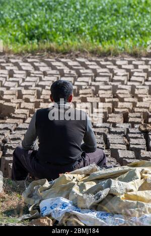 Bhutan, Punakha, Sopsokha villaggio. Linee di fango fatto a mano e mattoni di paglia che asciugano in campo. Foto Stock