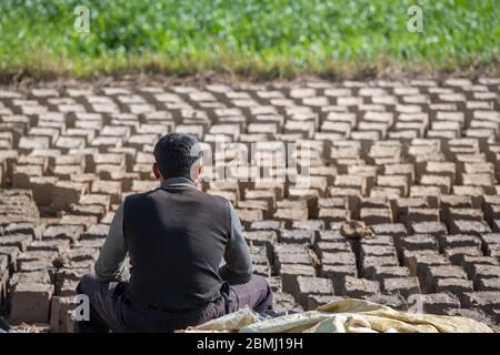 Bhutan, Punakha, Sopsokha villaggio. Linee di fango fatto a mano e mattoni di paglia che asciugano in campo. Foto Stock