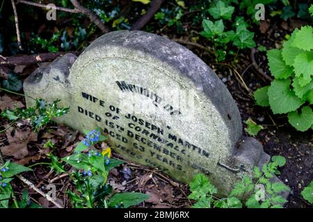 Tower Hamlets Cemetery Park, Londra, Regno Unito Foto Stock