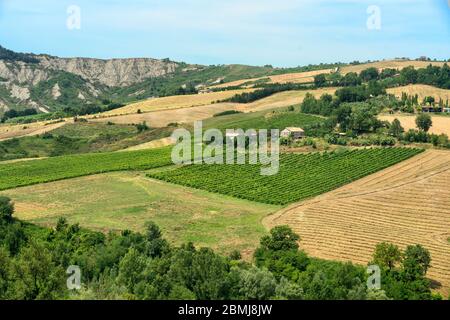 Paesaggio estivo vicino Meldola, Forli Cesena, Emilia Romagna, Italia Foto Stock