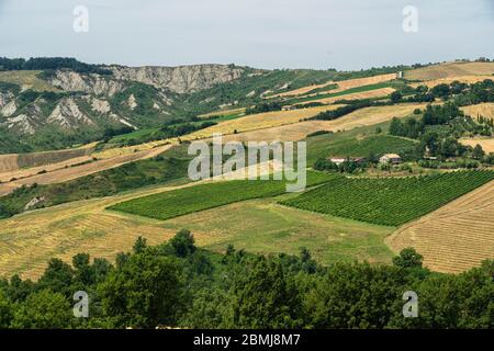 Paesaggio estivo vicino Meldola, Forli Cesena, Emilia Romagna, Italia Foto Stock