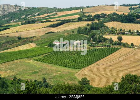 Paesaggio estivo vicino Meldola, Forli Cesena, Emilia Romagna, Italia Foto Stock