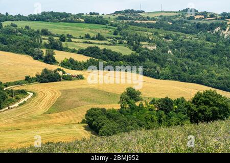 Paesaggio estivo vicino Meldola, Forli Cesena, Emilia Romagna, Italia Foto Stock