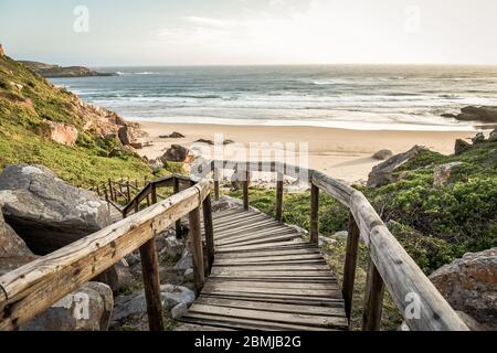 Riserva naturale di Robberg, Baia di Plettenberg, percorso dei giardini, Sudafrica Foto Stock