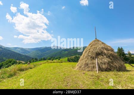 idilliaco paesaggio rurale in una giornata di sole. idilliaco rurale. fieno stack sul campo. splendida campagna in montagna sotto un cielo blu con fluidità Foto Stock