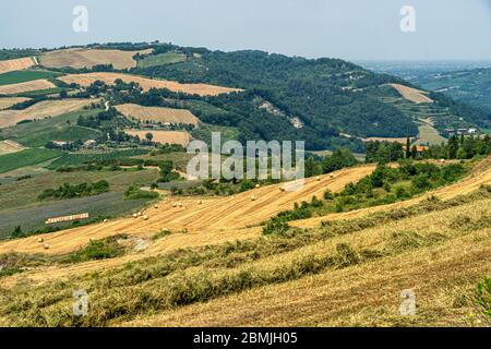 Paesaggio estivo vicino Meldola, Forli Cesena, Emilia Romagna, Italia Foto Stock