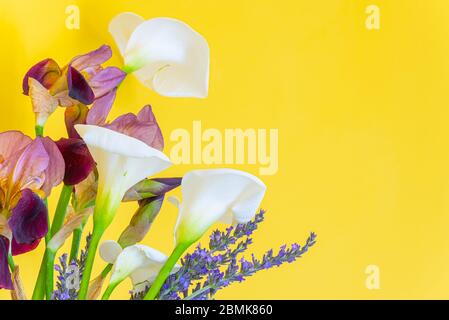Vaso contenente una composizione di fiori di primavera. Lavanda, Rosa Bianca, Iris, Calla Lily. Foto Stock