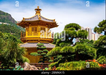 Padiglione di perfezione assoluta nel giardino Nan Lian, Hong Kong Foto Stock