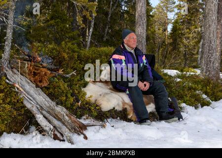 Uomo maturo che riposa seduto su una pelle di renna con un fuoco da campeggio e la foresta sullo sfondo, foto di Mellansel Vasternorrland, Sverige. Foto Stock