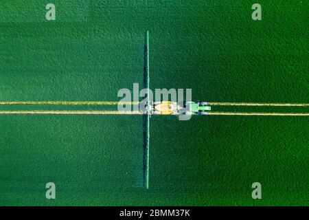 Campi verdi. Vista aerea del trattore che spruzza le sostanze chimiche sul grande campo verde. Sfondo primavera agricolo. Foto Stock