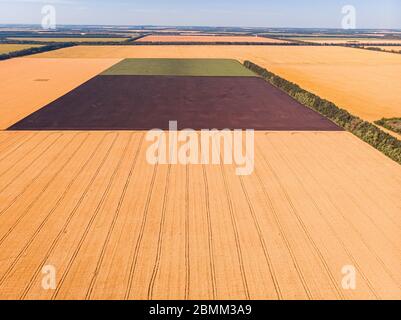 La bellissima campagna patchwork pattern del paesaggio coltivato da fuco pov, campi di mais, di soia e di frumento da alto angolo di visione Foto Stock