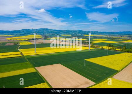 Vista aerea della turbina eolica. Fioritura di colza. Mulini a vento e i campi gialli di cui sopra. Campi agricoli in un giorno d'estate. Fonti di energia rinnovabili. Foto Stock