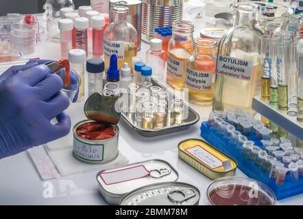 Uno scienziato di laboratorio esperto analizza peperoni rossi da un alimento inscatolato può analizzare l'infezione botulistica in gente malata, immagine concettuale Foto Stock
