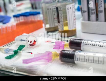 Campionamento aerobico e anaerobico di colture ematiche in un ospedale, Spagna Foto Stock