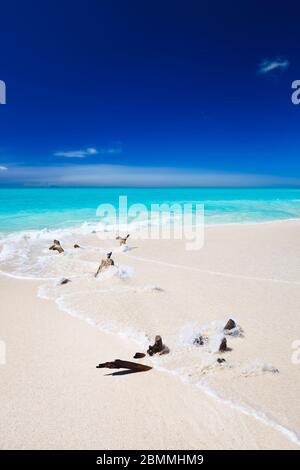 Perfetta spiaggia caraibica con un po' di driftwood e cielo blu profondo ad Antigua. Foto Stock