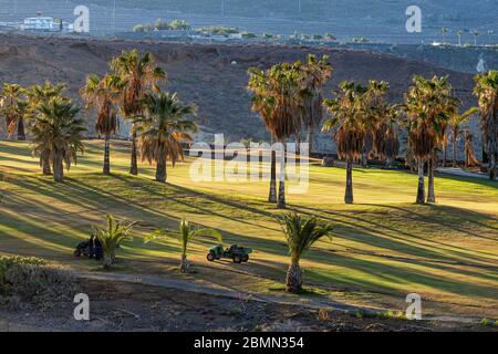 Campi da golf di Adeje con palme vuote, tranne per il personale addetto alla manutenzione durante il convid 19 nell'area turistica di Costa Adeje, Foto Stock