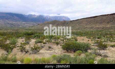 Le Chisos Mountains del Big Bend National Park in Texas sono di origine vulcanica Foto Stock