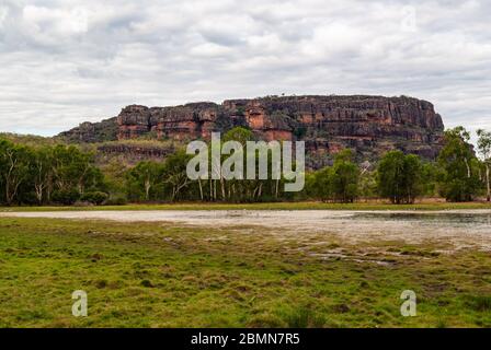 ANBANGBANG BILLABONG, PARCO NAZIONALE DI KAKADU, TERRITORIO DEL NORD, AUSTRALIA Foto Stock