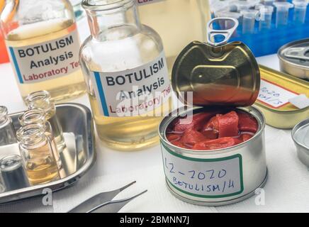 Uno scienziato di laboratorio esperto analizza peperoni rossi da un alimento inscatolato può analizzare l'infezione botulistica in gente malata, immagine concettuale Foto Stock