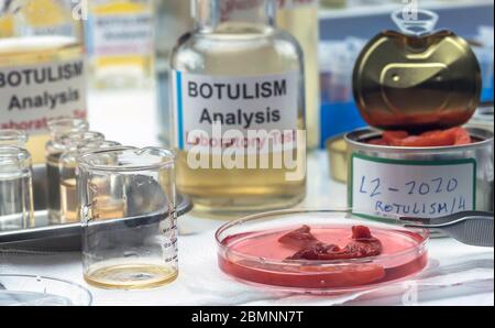 Uno scienziato di laboratorio esperto analizza peperoni rossi da un alimento inscatolato può analizzare l'infezione botulistica in gente malata, immagine concettuale Foto Stock