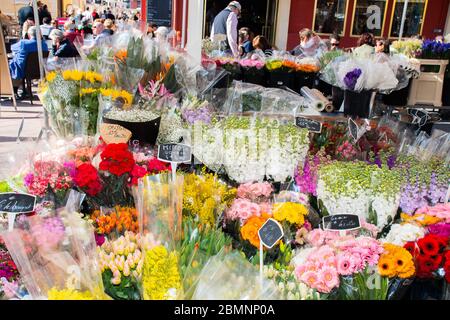 Nizza, Francia, 25 febbraio 2020: Fiori in vendita al mercato. Mercato dei fiori a Nizza Foto Stock