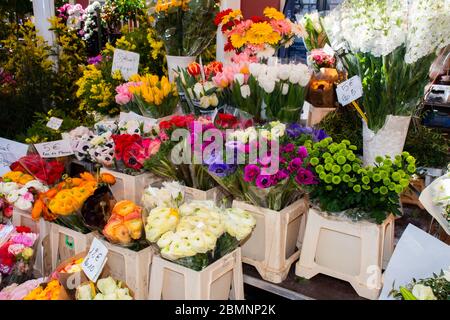 Nizza, Francia, 25 febbraio 2020: Fiori in vendita al mercato. Mercato dei fiori a Nizza Foto Stock