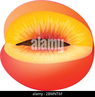 Icona di pesca tagliata. Cartoon di icona vettoriale pesca tagliata per web design isolato su sfondo bianco Illustrazione Vettoriale