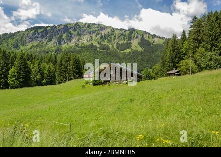 Classico chalet svizzero nel mezzo di verdi prati alpini . Accogliente villaggio rurale Champery in Svizzera. Cielo blu brillante e nuvole bianche e morbide Foto Stock