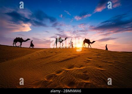 Camaleatori indiani driver cammello con silhouette cammello in dune al tramonto. Jaisalmer, Rajasthan, India