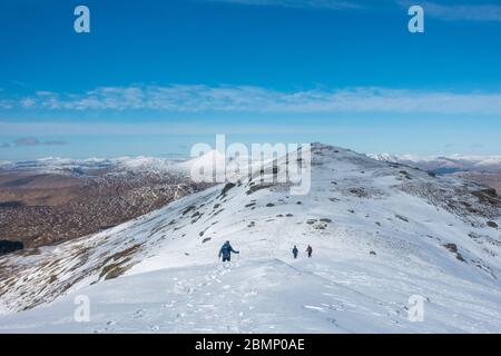 3 escursionisti maschi discendono dalla cima del ben Vorlich, un munro negli altopiani scozzesi. Ben Lui è la vetta lontana Foto Stock