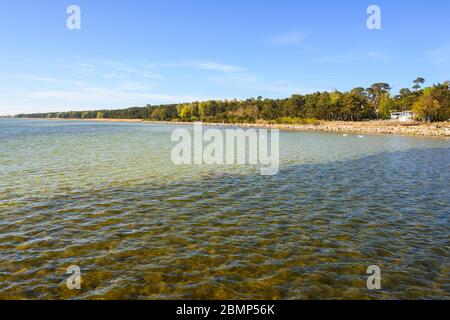 La costa sulla penisola di Hel visto dal molo di Jurata. Polonia Foto Stock