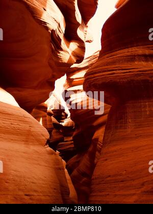 La bellezza paradisiaca dell'Antelope Canyon Foto Stock