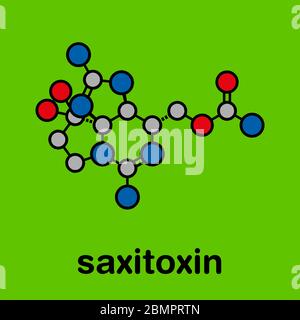 Tossina paralitica shell?sh (PST) di Saxitoxin (STX), struttura chimica Foto Stock