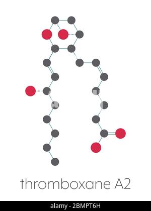 Molecola di trombossano A2 (TXA2). Formula scheletrica stilizzata (struttura chimica): Gli atomi sono indicati come cerchi codificati a colori: Idrogeno (nascosto), carbonio (grigio), ossigeno (rosso). Foto Stock