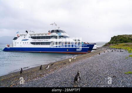 Le barche turistiche arrivano all'isola di Martillo, famosa per i suoi pinguini Magellani, nel canale di Beagle vicino a Ushuaia, nella provincia di Tierra del Fuego, Argentina. Foto Stock